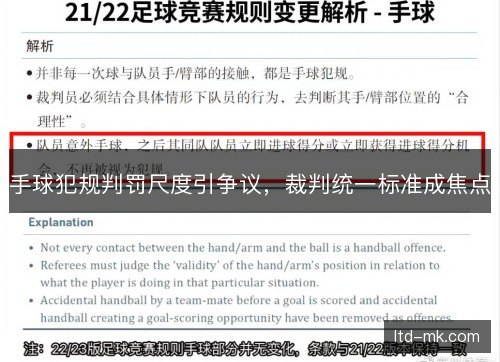 手球犯规判罚尺度引争议，裁判统一标准成焦点